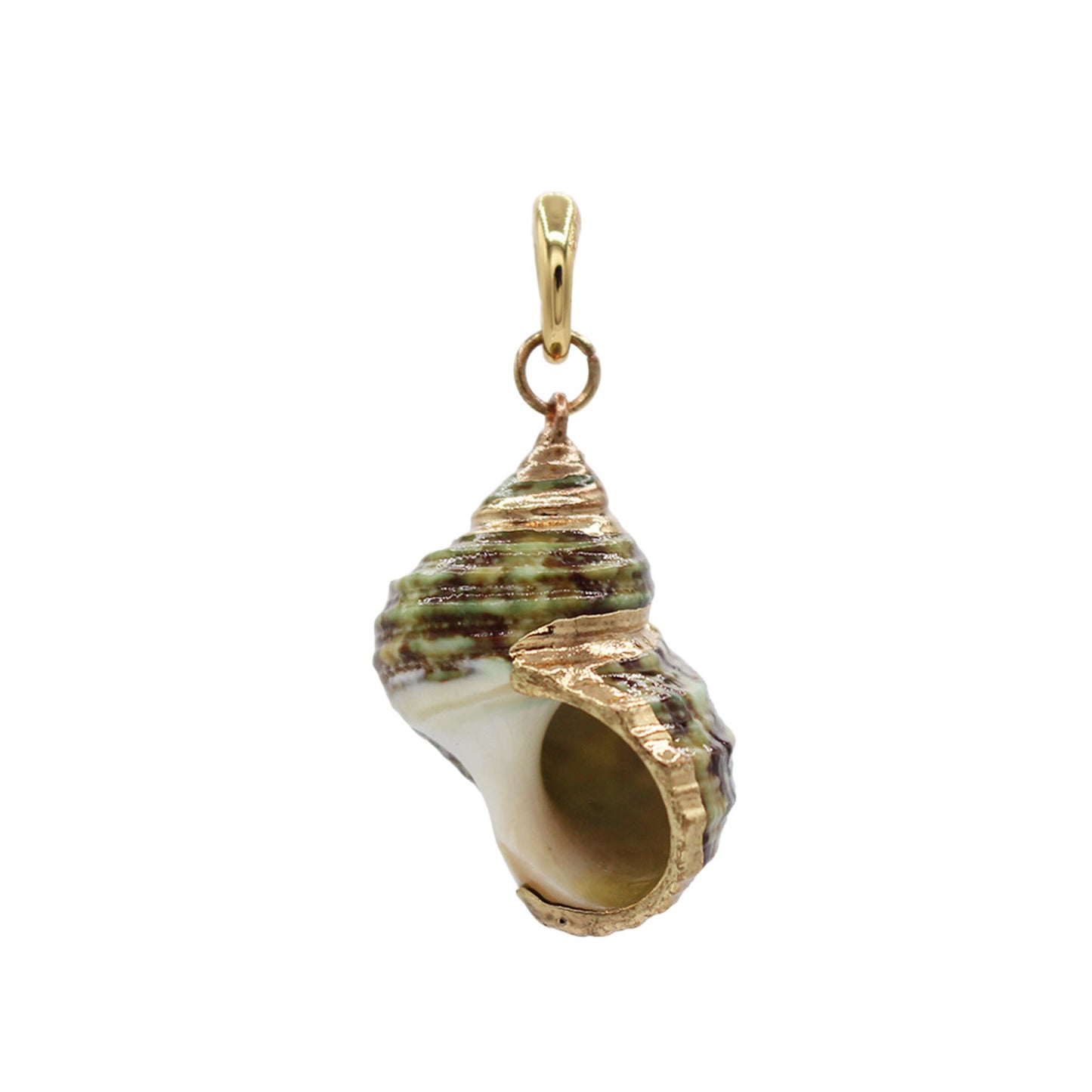 Spiral Shell Pendant Necklace -Size Medium