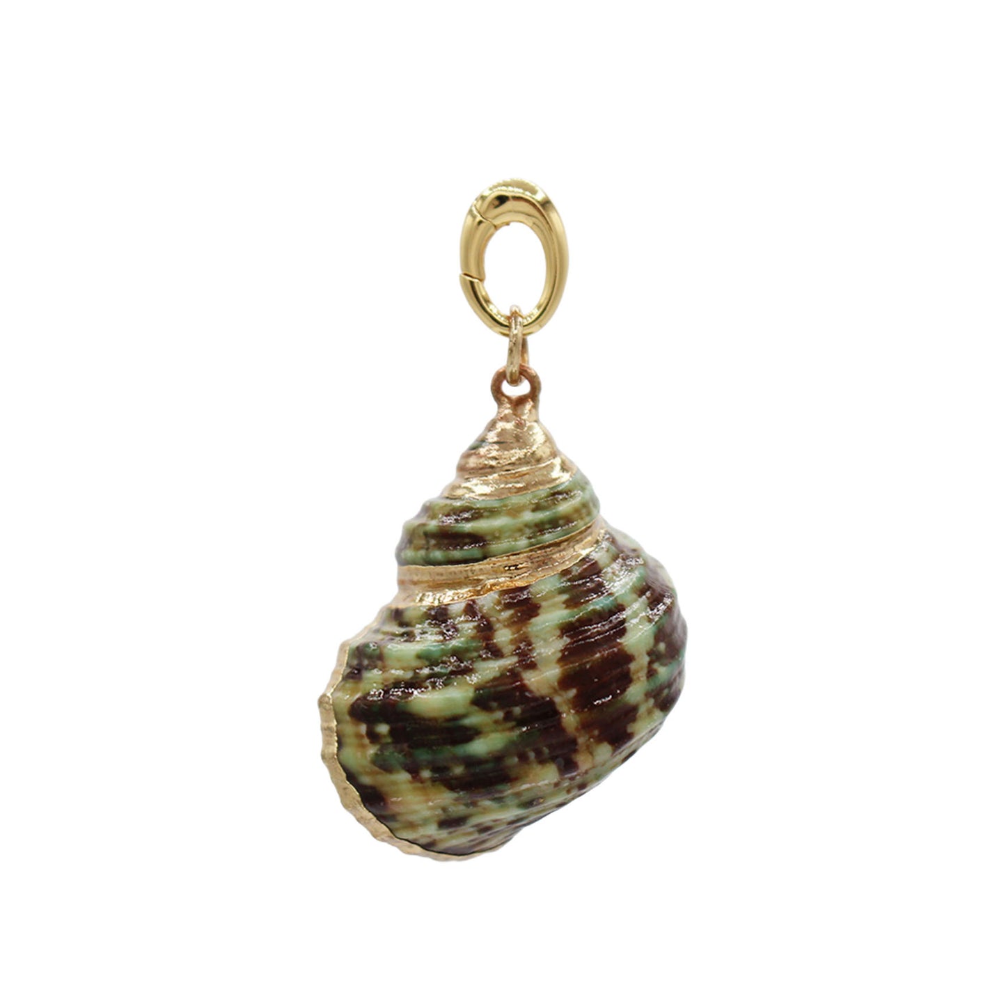 Spiral Shell Pendant Necklace -Size Medium