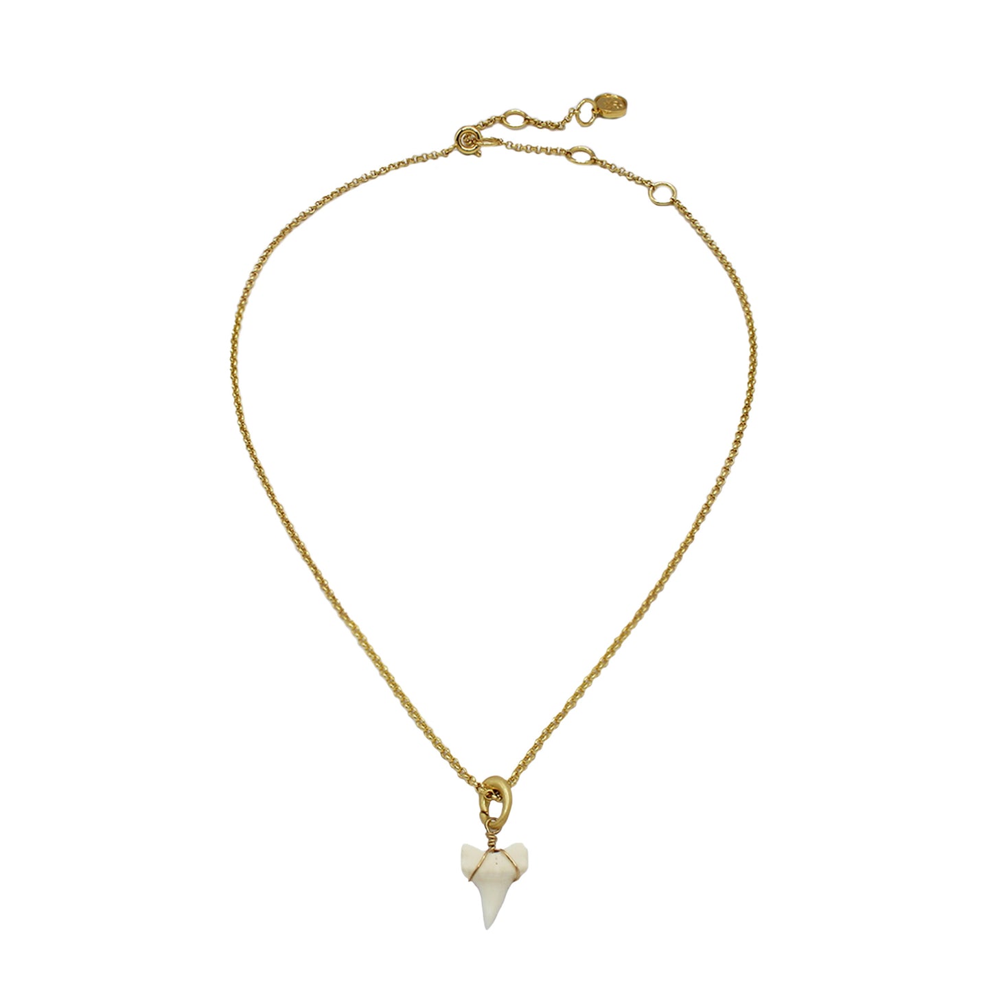 Shark Tooth Sweet Necklace