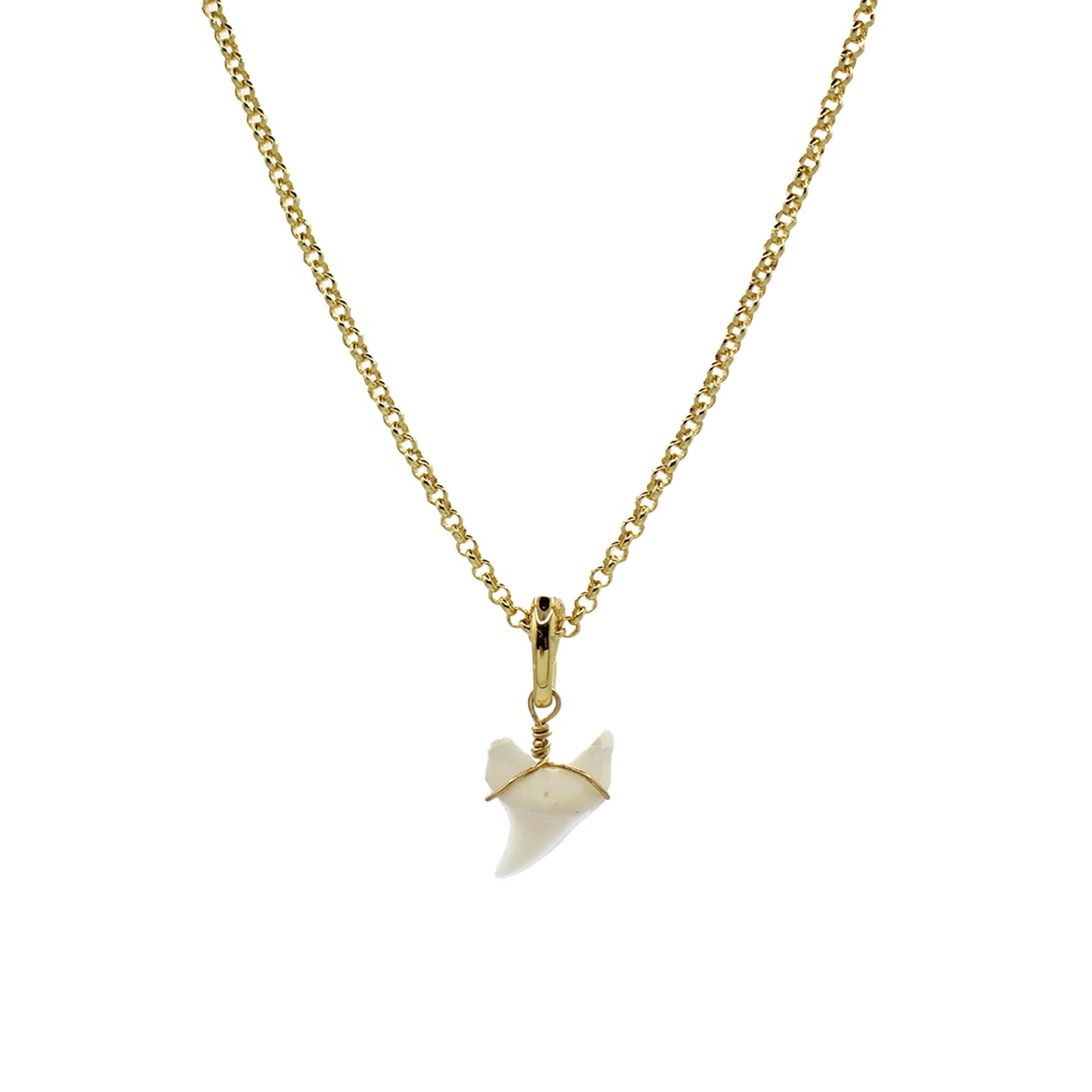 Shark Tooth Sweet Necklace