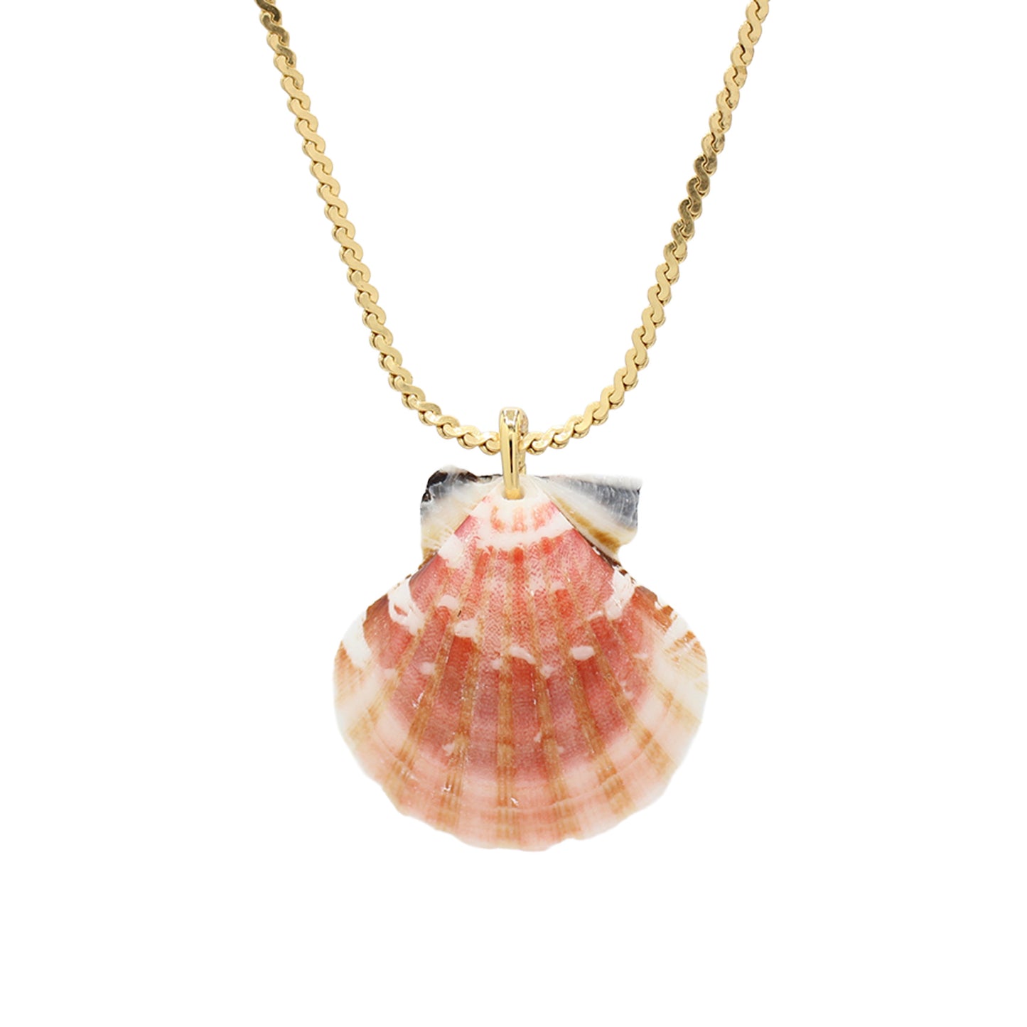 Shell Pendant Necklace -Size Medium