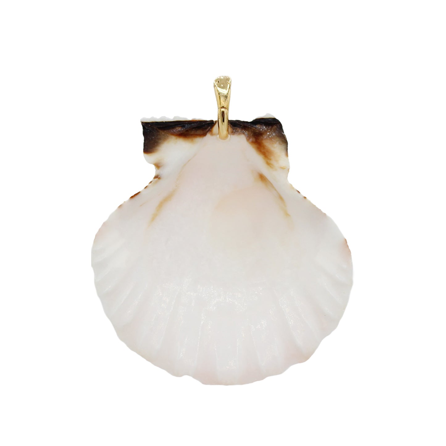 Shell Pendant Necklace -Size Medium