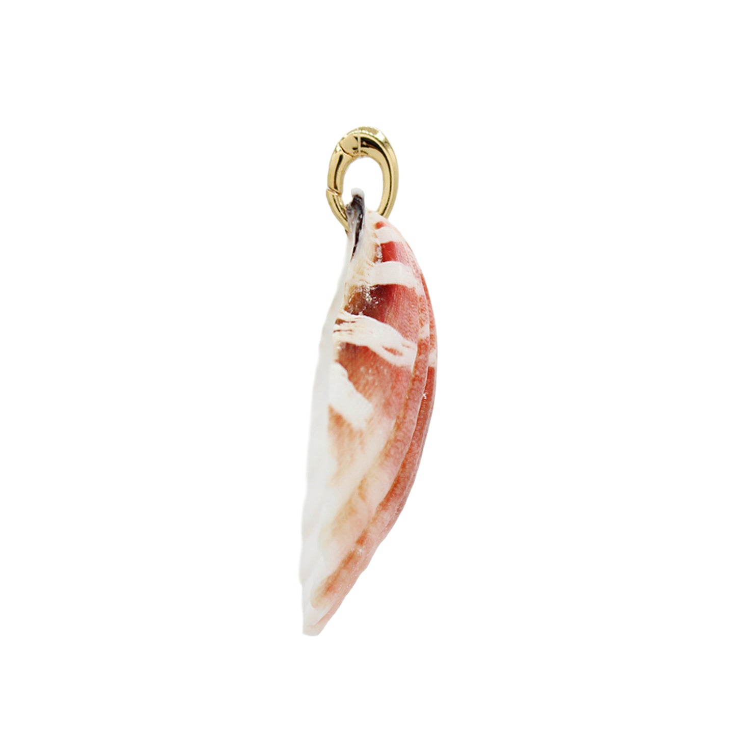 Shell Pendant Charm - Size Medium