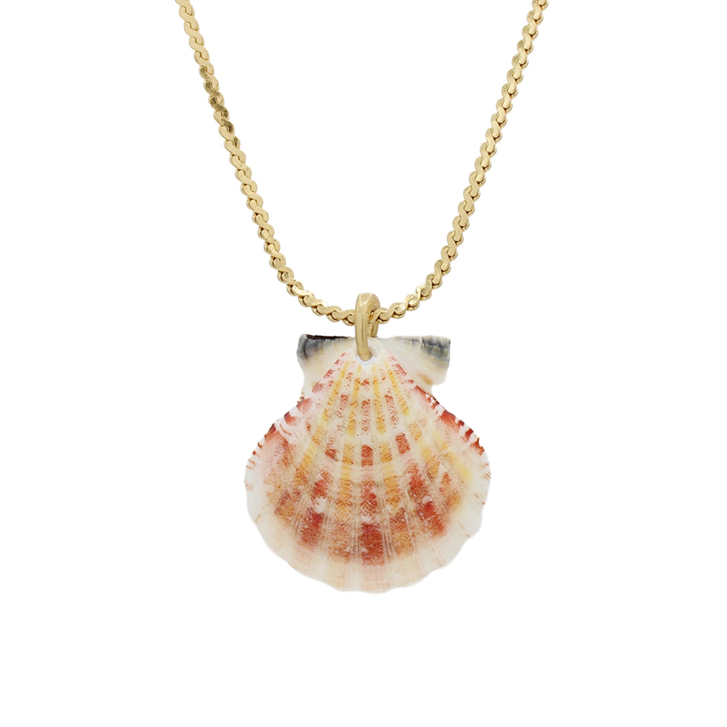 Shell Pendant Necklace -Size Medium