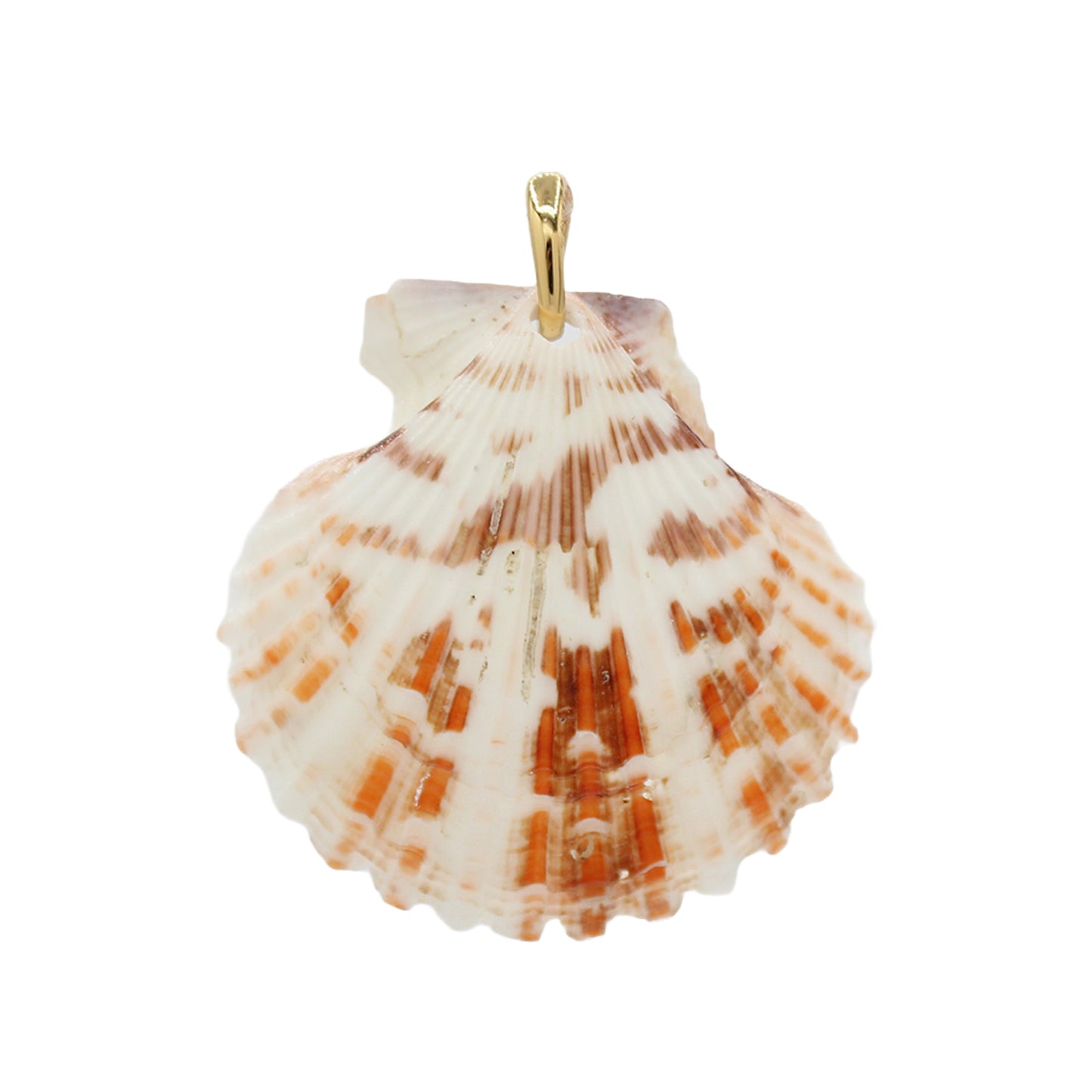 Shell Pendant Necklace -Size Medium