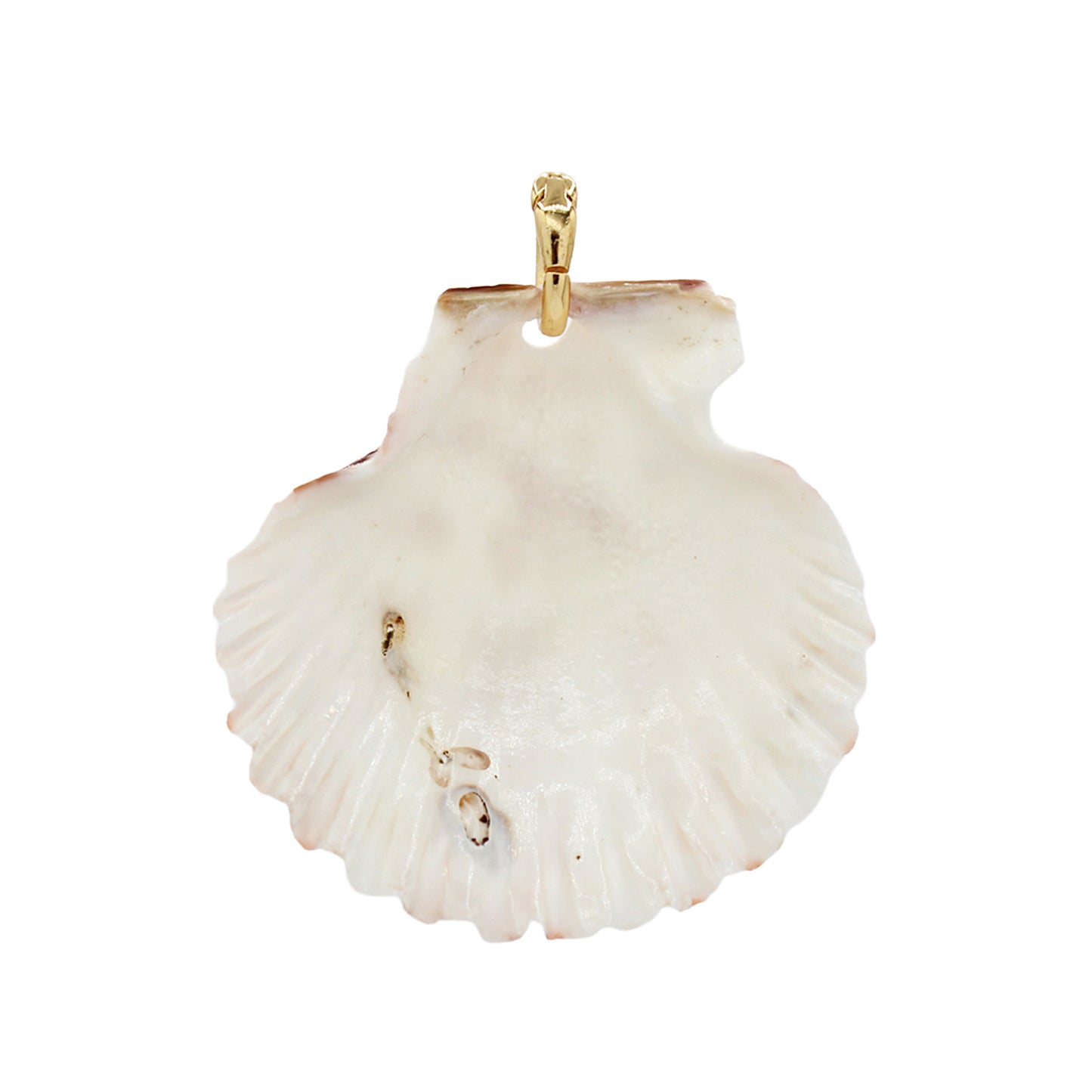 Shell Pendant Necklace -Size Medium