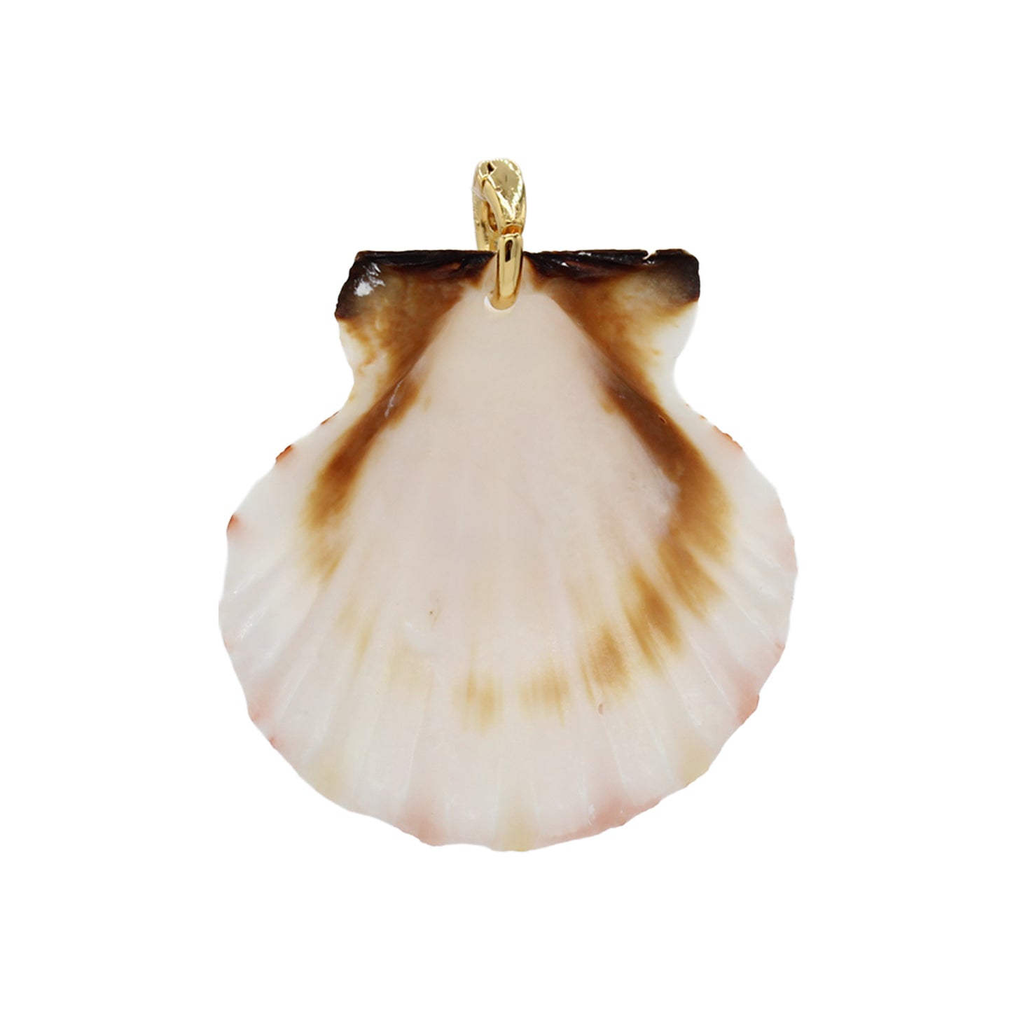 Shell Pendant Charm - Size Medium