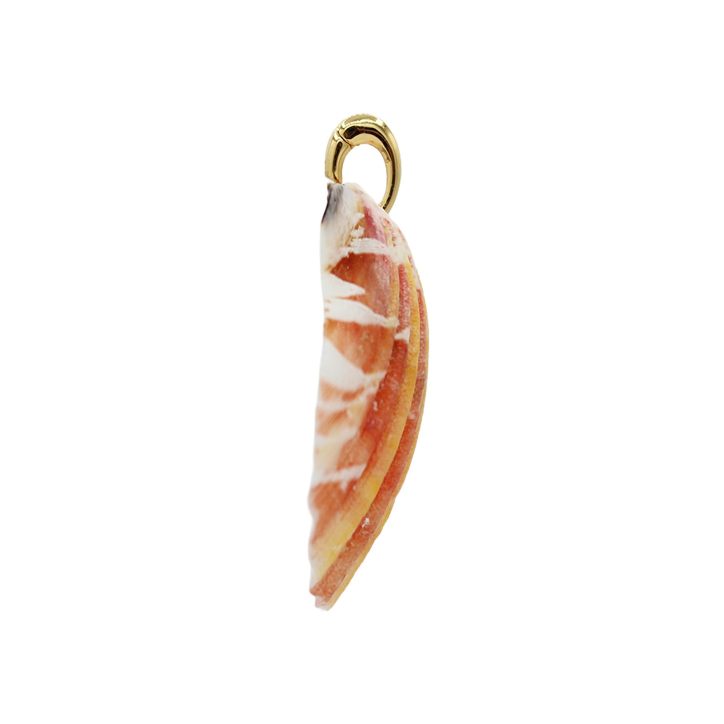 Shell Pendant Charm - Size Medium