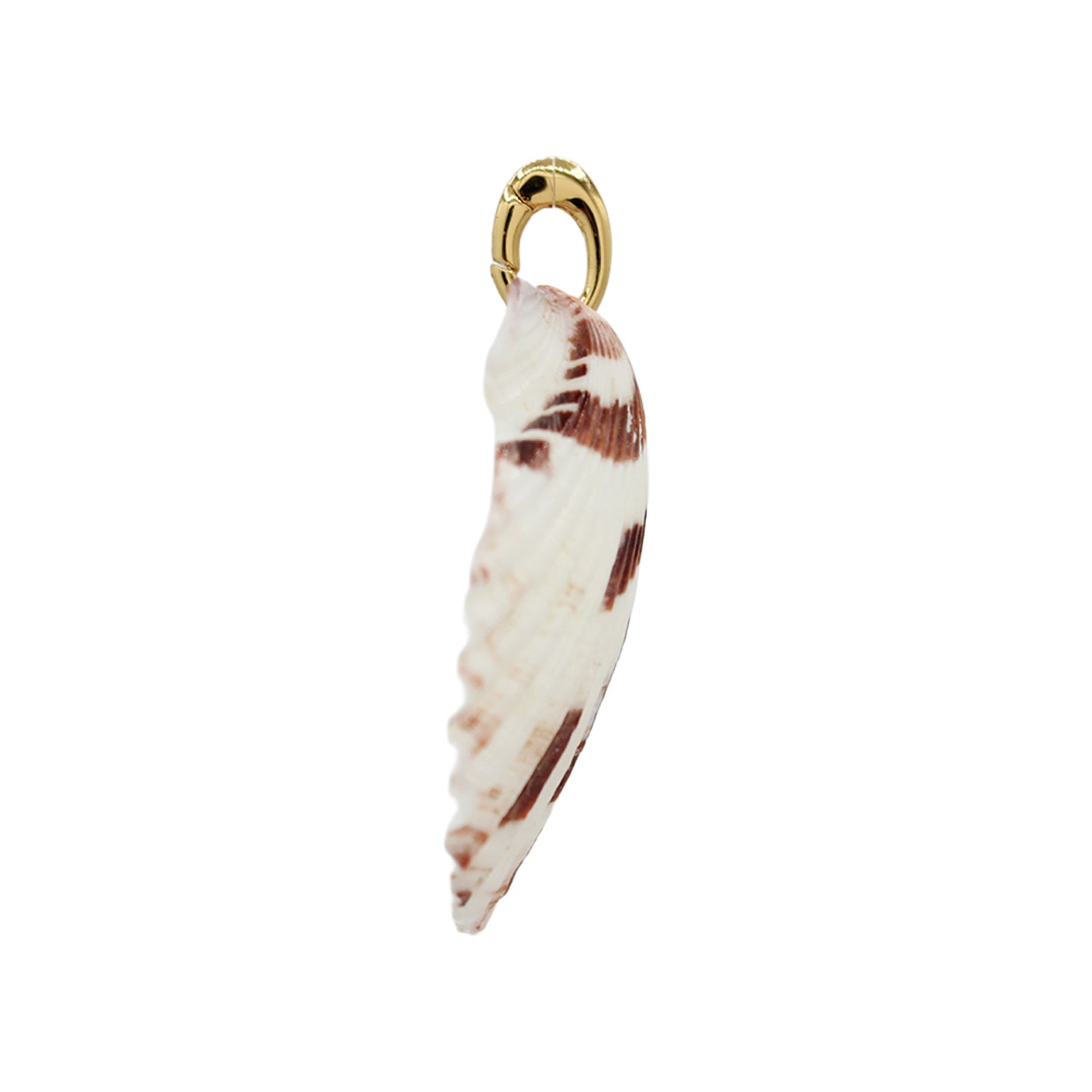 Shell Pendant Necklace -Size Medium