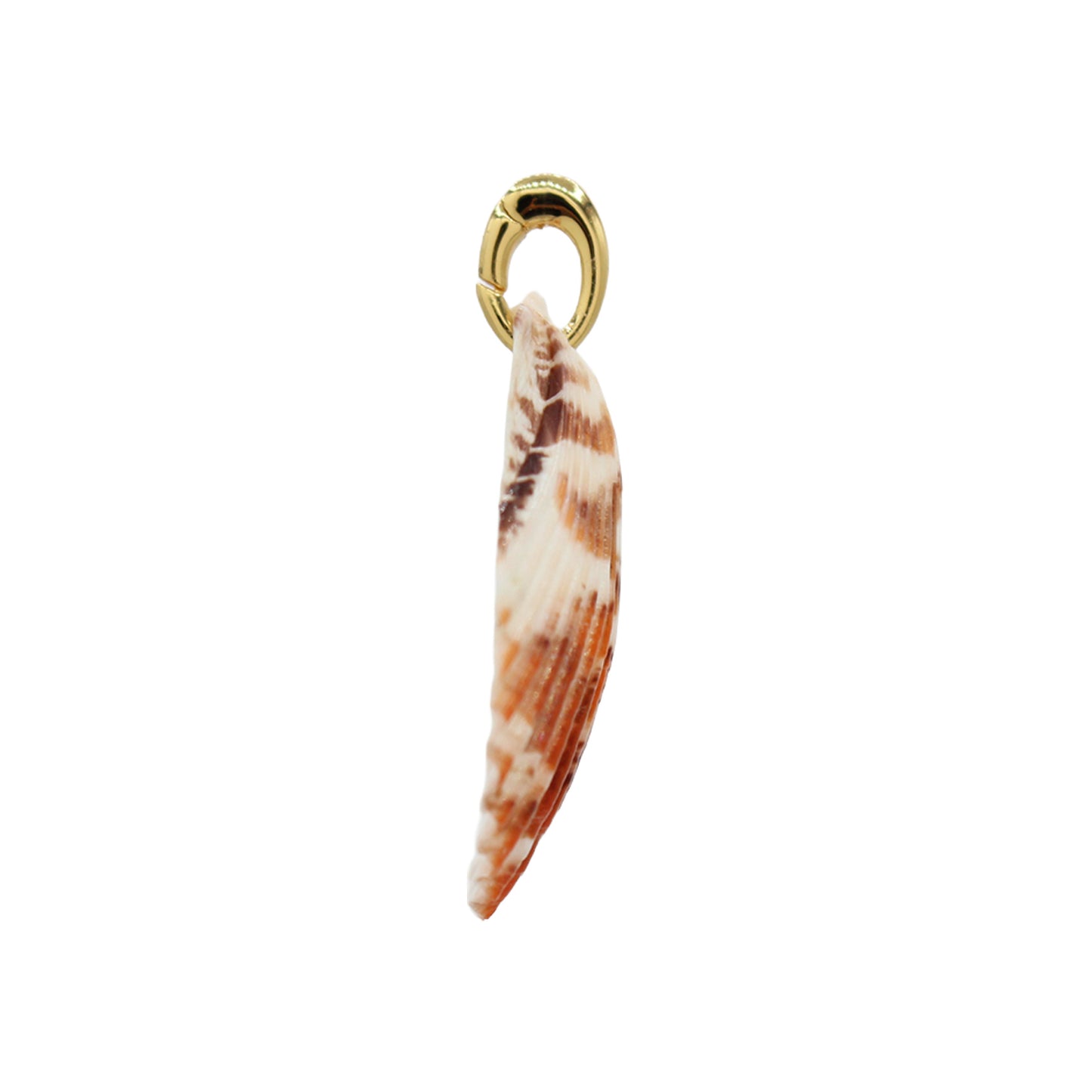 Shell Pendant Charm - Size Medium