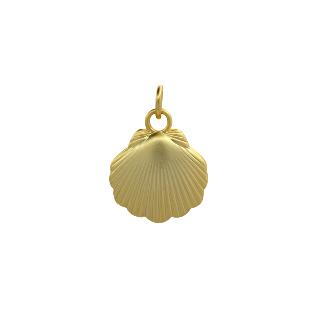 Take Me To The Sea Shell*