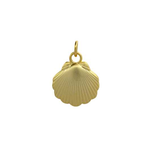 Take Me To The Sea Shell*
