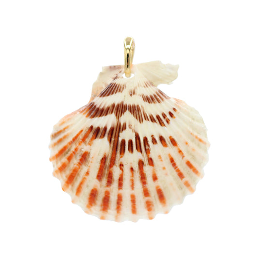 Scallop Shelly Charm-Size Small