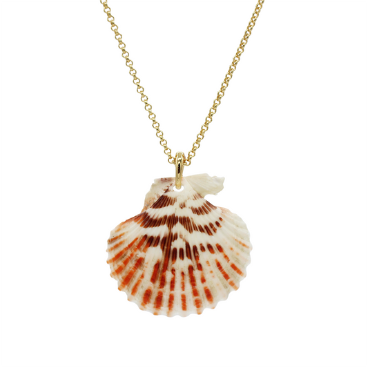 Shell Pendant Necklace -Size Medium