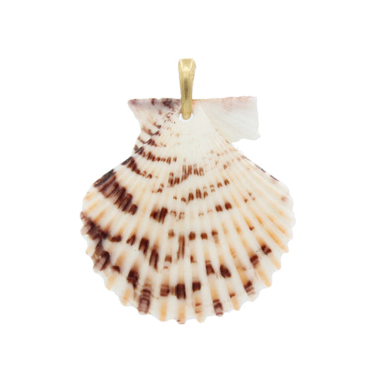 Scallop Shelly Charm- Size Small
