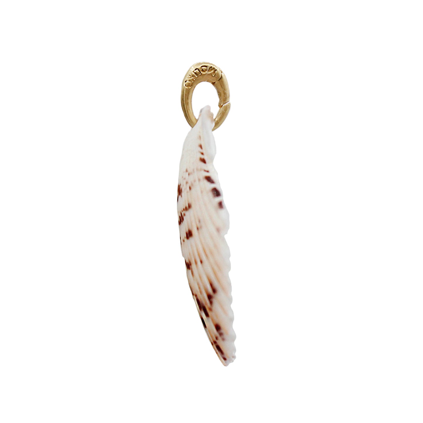 Scallop Shelly Charm- Size Small