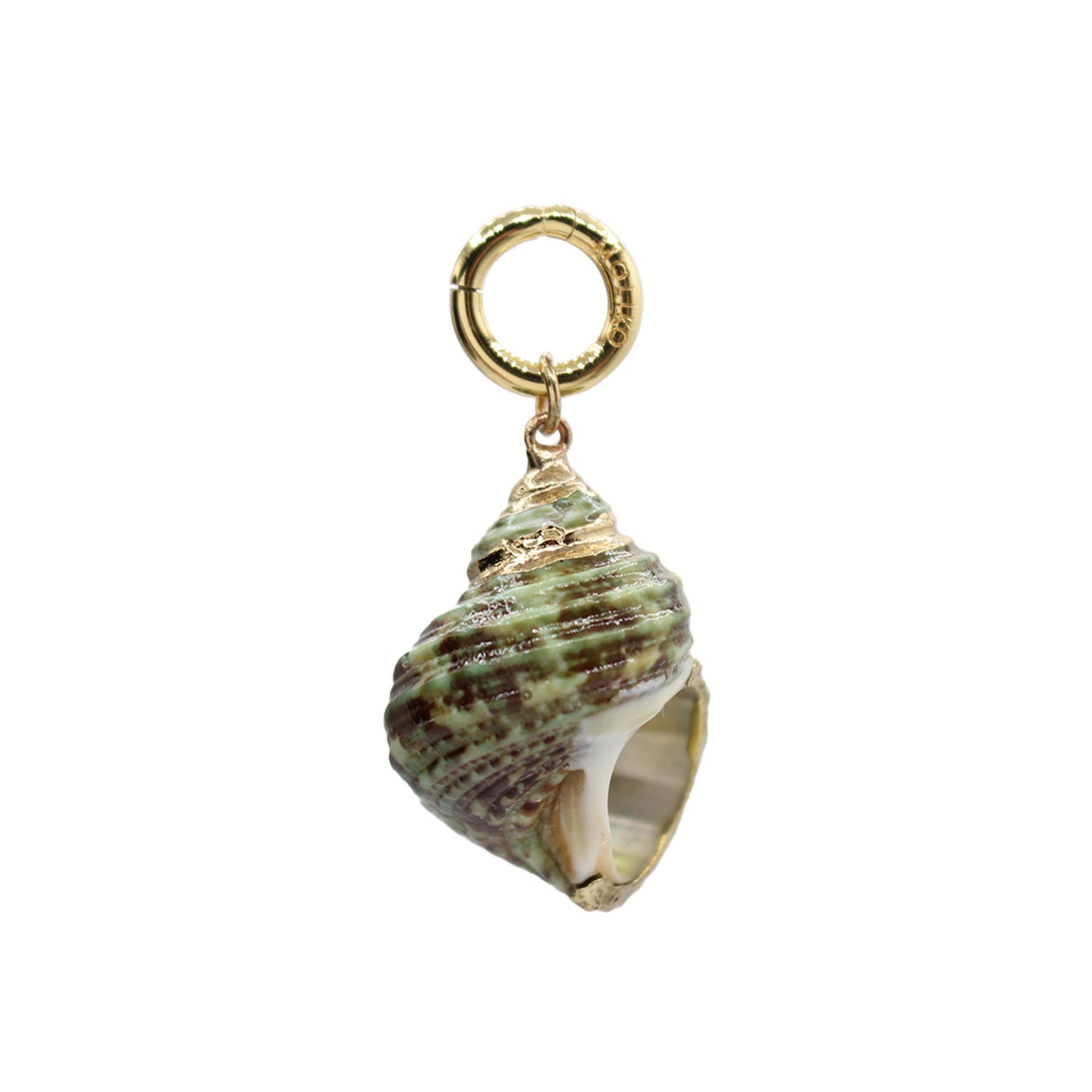 Spiral Shell Charm-Size Small