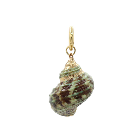 Spiral Shell Charm-Size Small