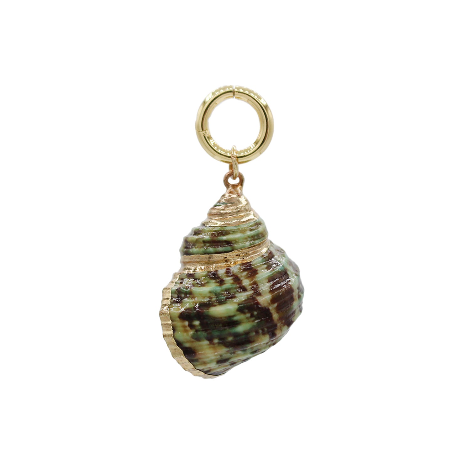 Spiral Shell Charm-Size Small