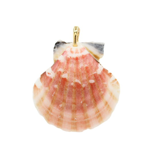 Shell Pendant Charm - Size Medium