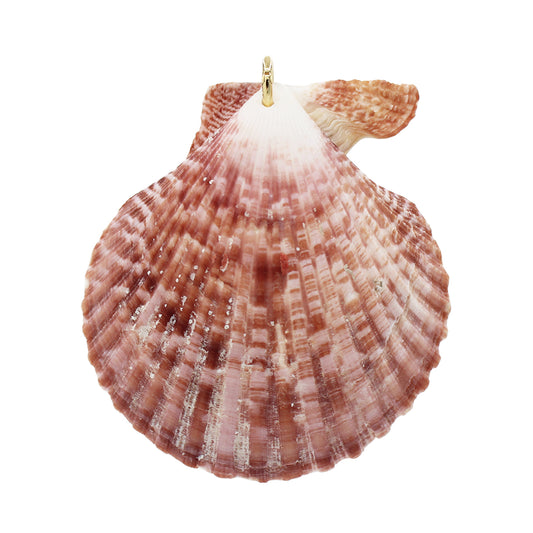 Colossal Shell Pendant Charm- Size Colossal