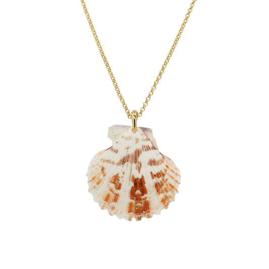 Shell Pendant Necklace -Size Medium