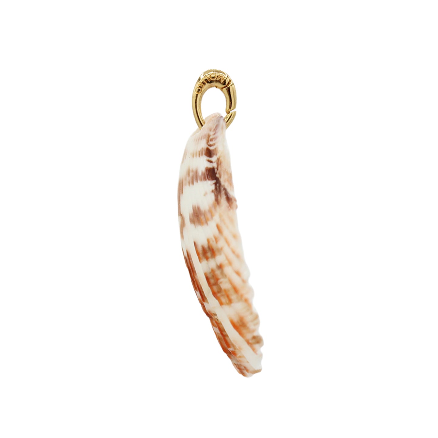 Shell Pendant Charm - Size Medium