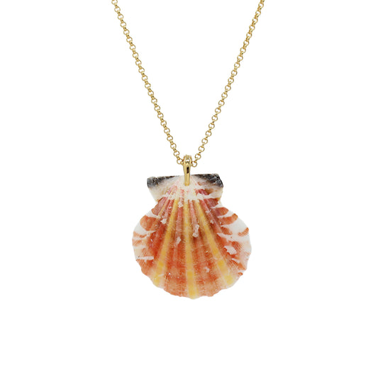 Shell Pendant Necklace -Size Medium