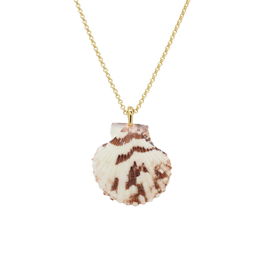 Shell Pendant Necklace -Size Medium