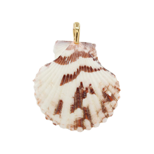 Shell Pendant Charm- Size Medium