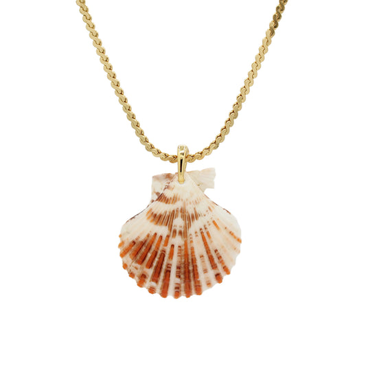 Shell Pendant Necklace -Size Medium