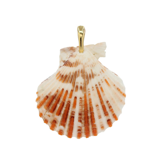 Shell Pendant Charm - Size Medium